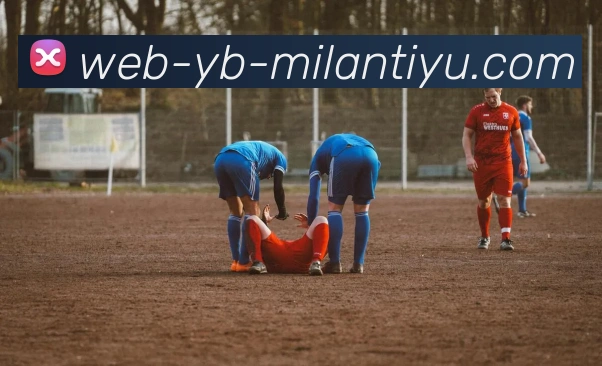 米兰体育APP 封面图